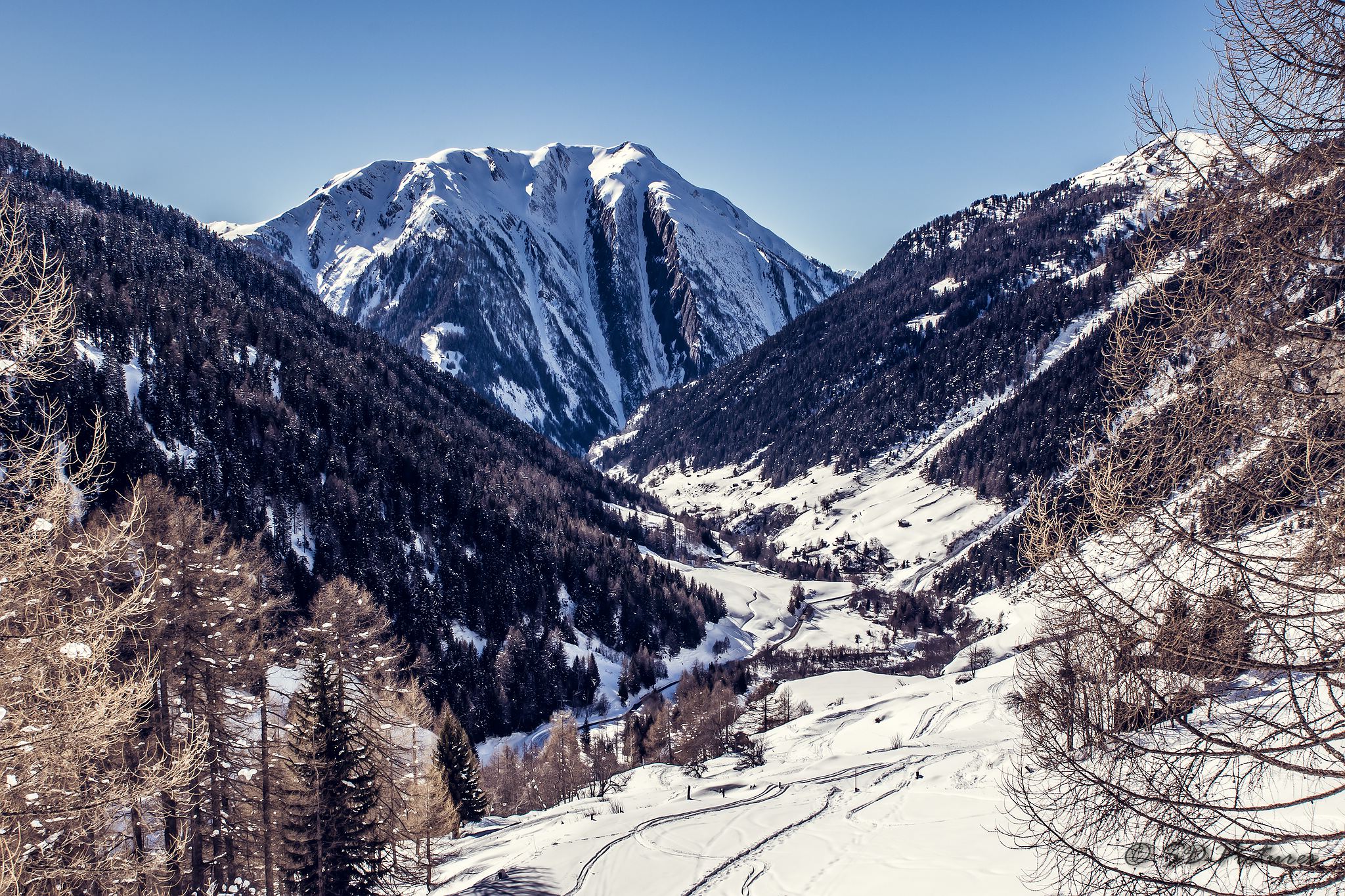 WEB  DP 2273 als Smartobjekt 1 Kopie